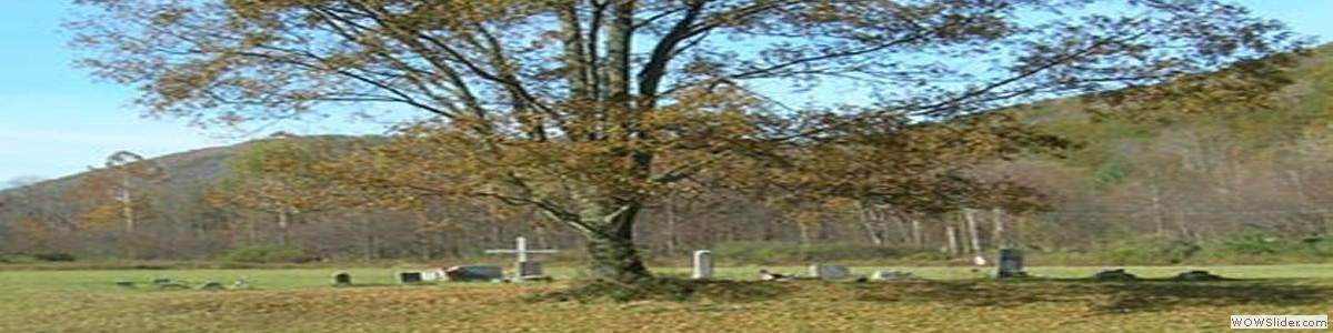Crippen / Wetmore Cemetery